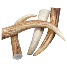 Load image into Gallery viewer, Elk Antler Tips Dog Chews