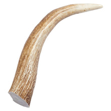 Load image into Gallery viewer, Elk Antler Tips Dog Chews