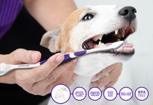 Load image into Gallery viewer, Professional Toothpaste Rotisserie Chicken Large & Professional Pet Toothbrush