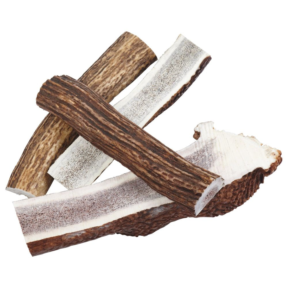 Split Elk Antler Dog Chews